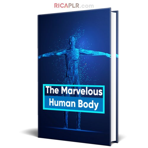 The Marvelous Human Body