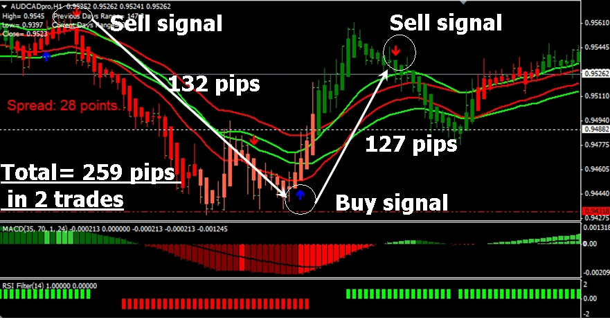 FX Profit Storm