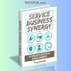 Service Business Synergy