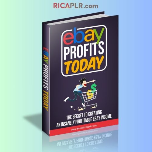 Ebay Profits (MRRGA)